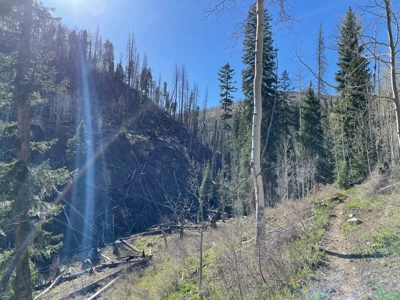 Missionary Ridge to Youngs Trail