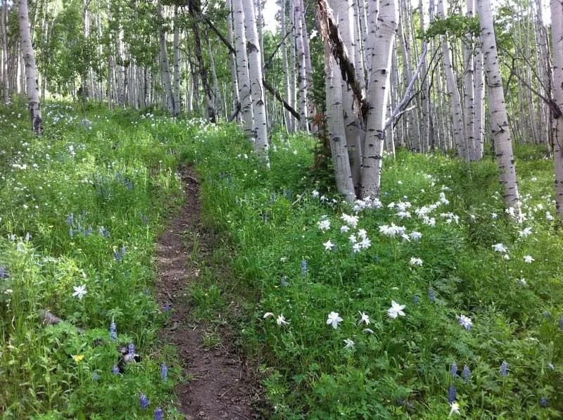 Buttermilk Bowls Trail