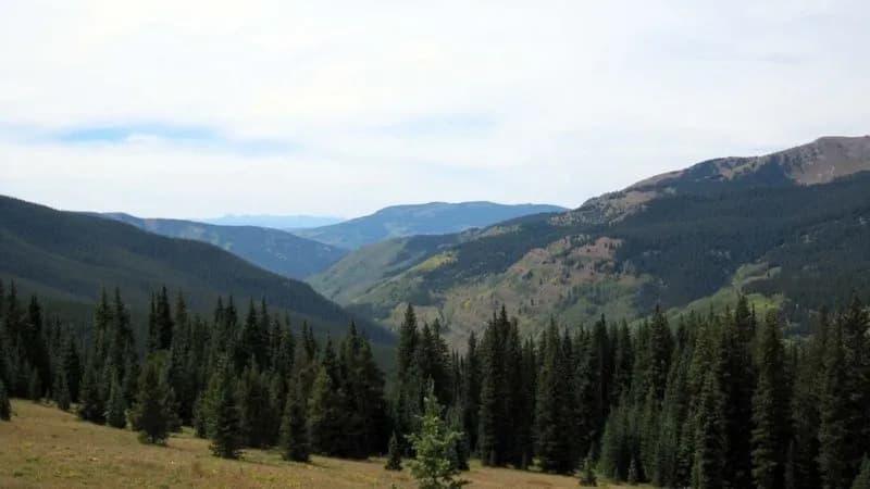 Reno Road