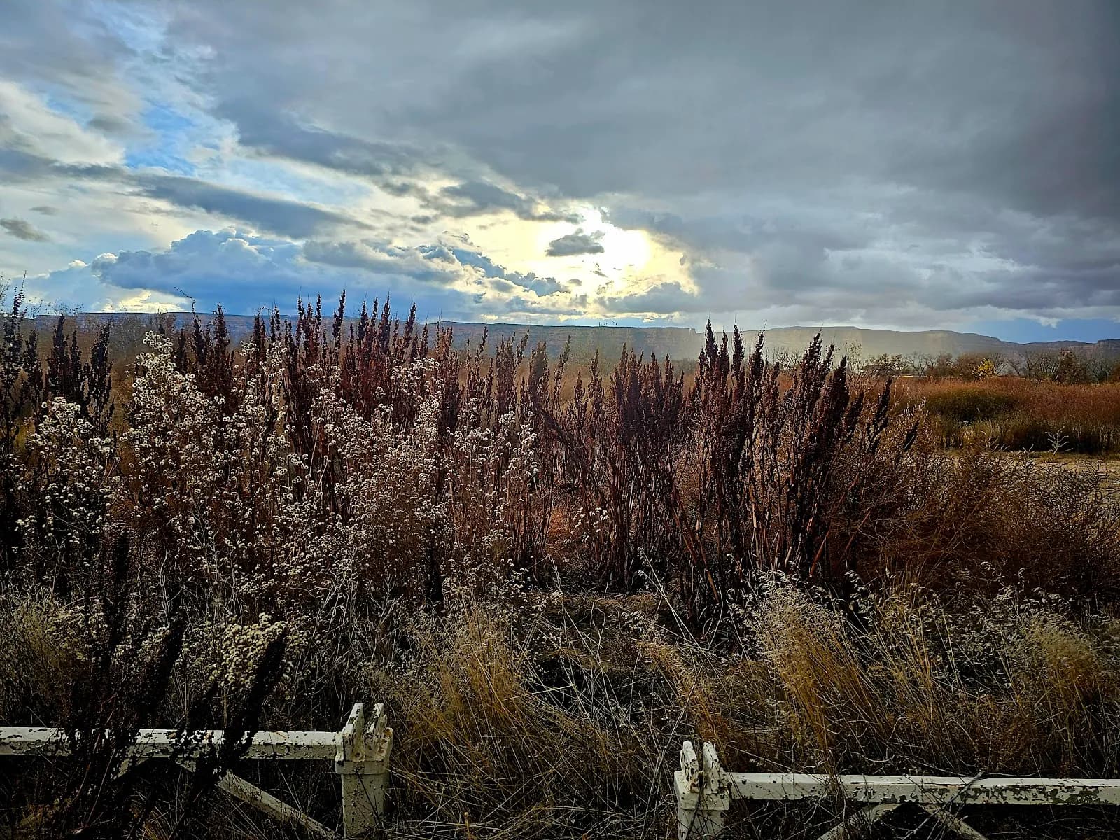 Walter Walker State Wildlife Area