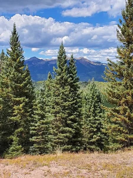 Connector: Little Elk Trail 515 to Elbert Creek Trail 512