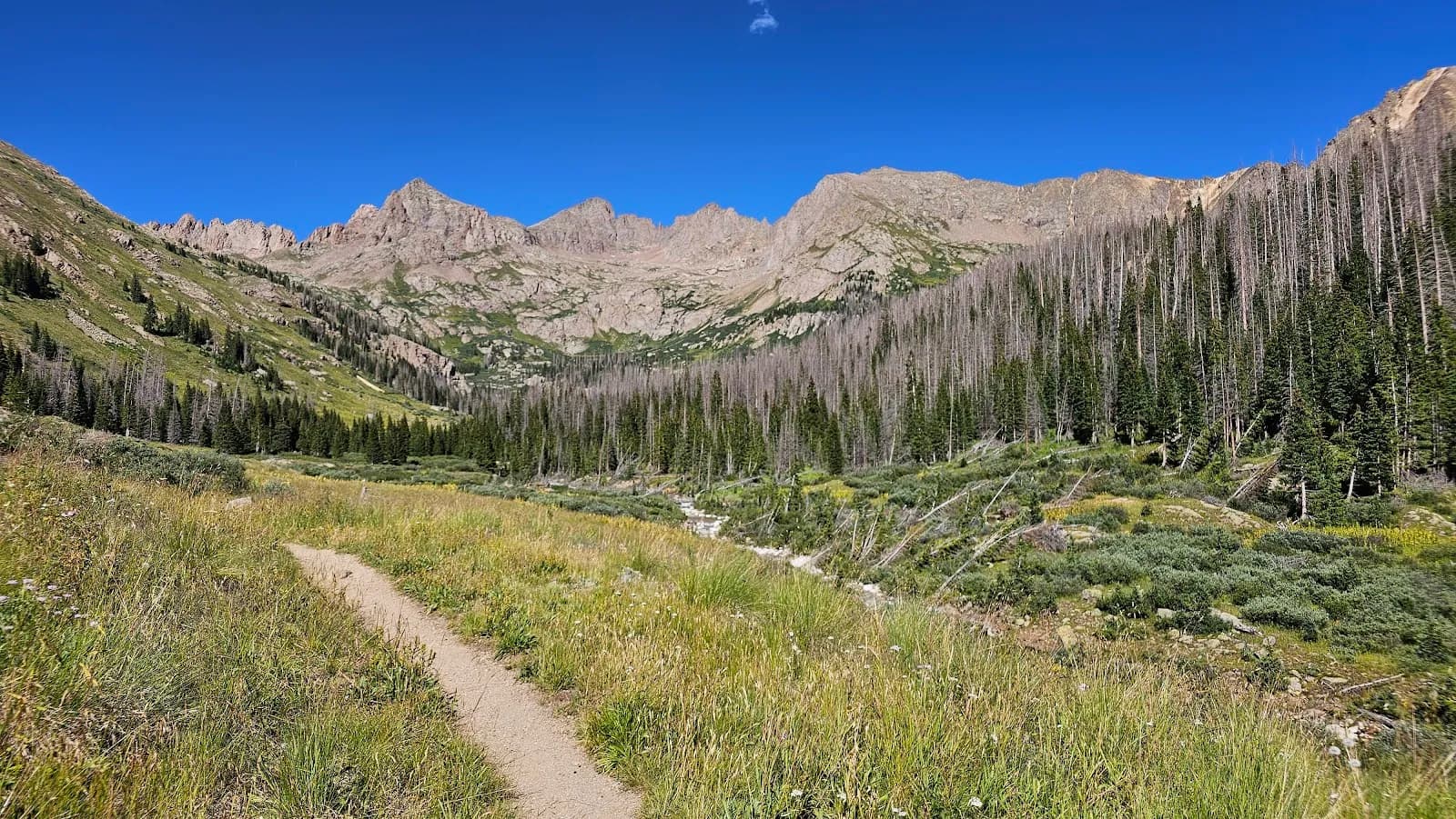 Chicago Basin