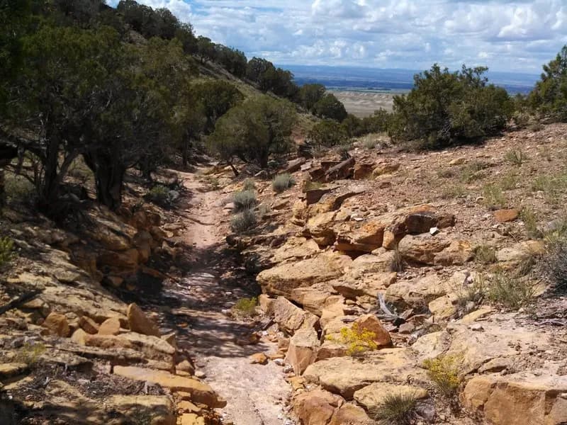Gorge(ous) 10-miler Loop view 3