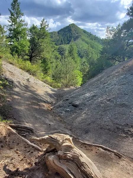 Test Tracks Loop
