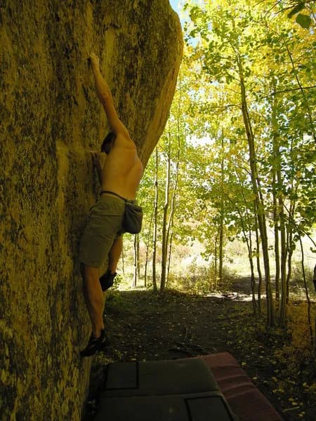 Crimps on the East Side