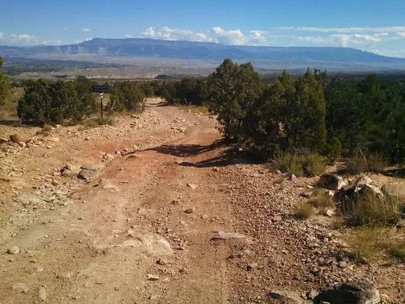 Climbing The Never Ending Jeep Road Back To The Top