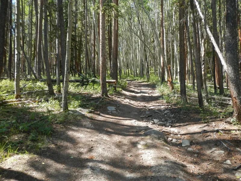 Forest Road No. 578
