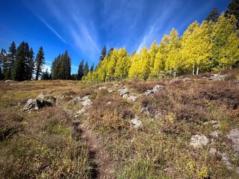 Deep Creek Trail