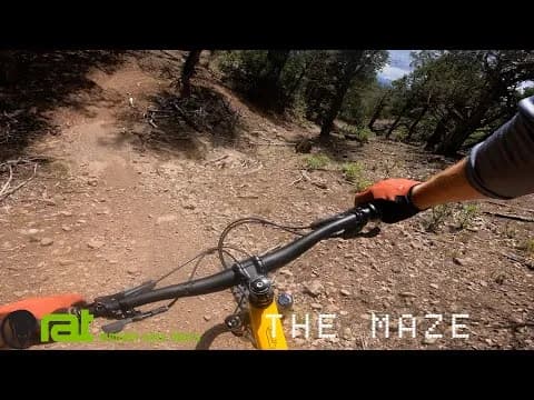The Maze