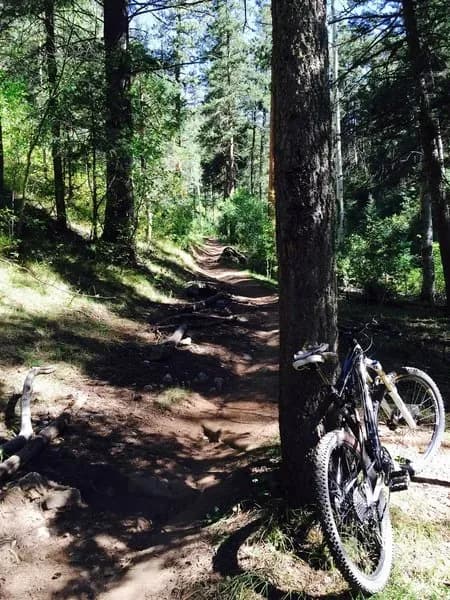 Elbert Creek to Jones Creek