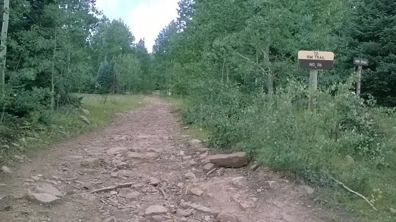 Rim Trail Loop