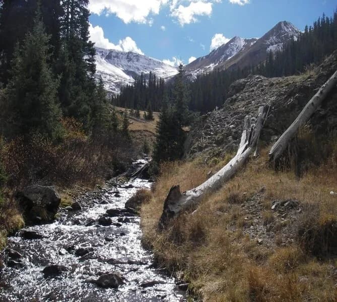 South Fork Trail #549