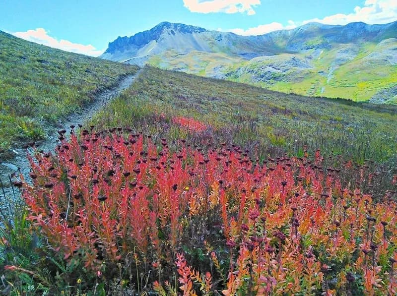 Colorado Trail: Stony Pass to West Pole Creek Trail