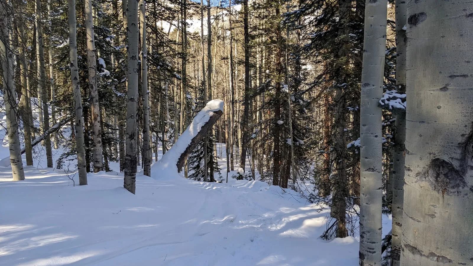 Mill Castle Trailhead