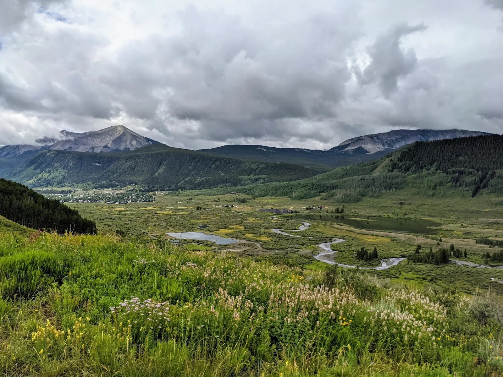 Lupine Trail 2
