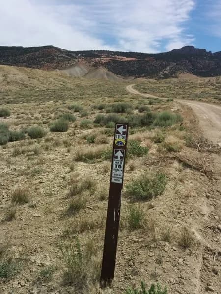 Elephant Skin Road