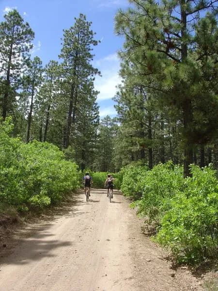 Rimrocker Trail