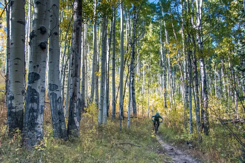 Doctor Park Trail