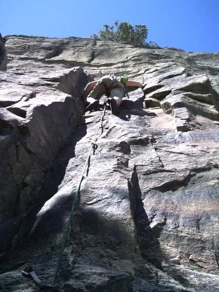 Drop In