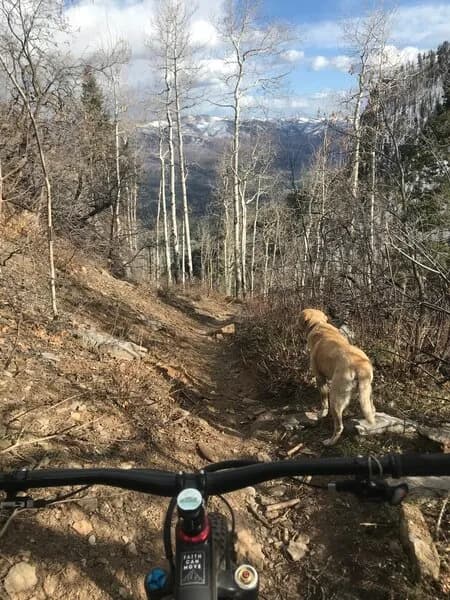 Goulding Creek to Jones Creek