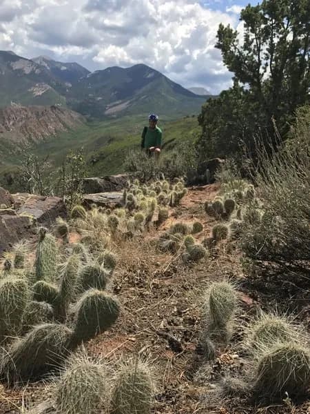View Of La Sal Mountains From The Jimmy Keen Kokopelli Trail