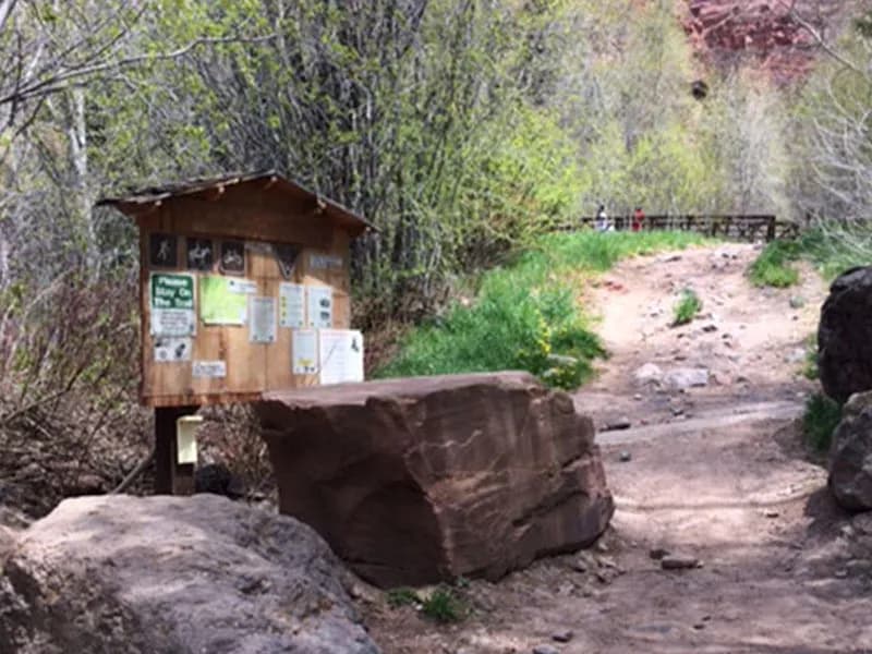 Jud Wiebe Trail view 3