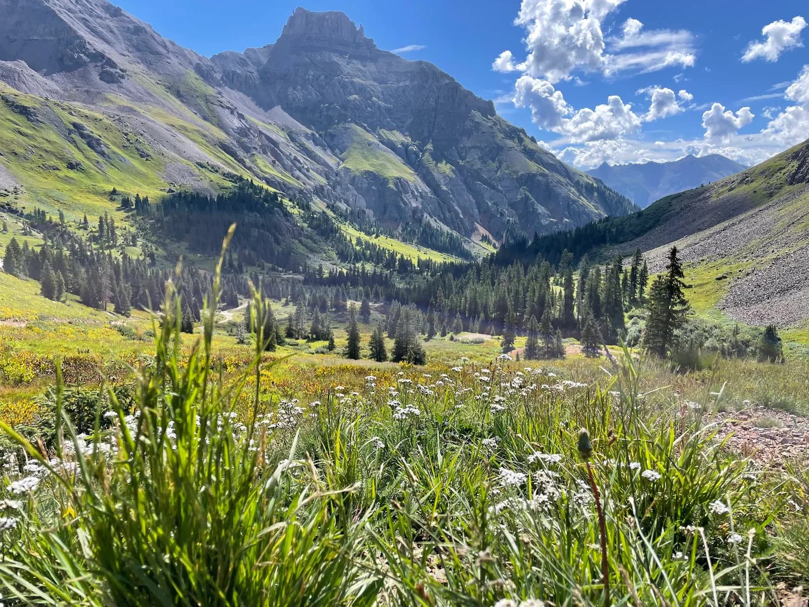 Yankee Boy Basin Trailhead