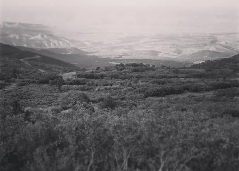 Lands End Road (100)
