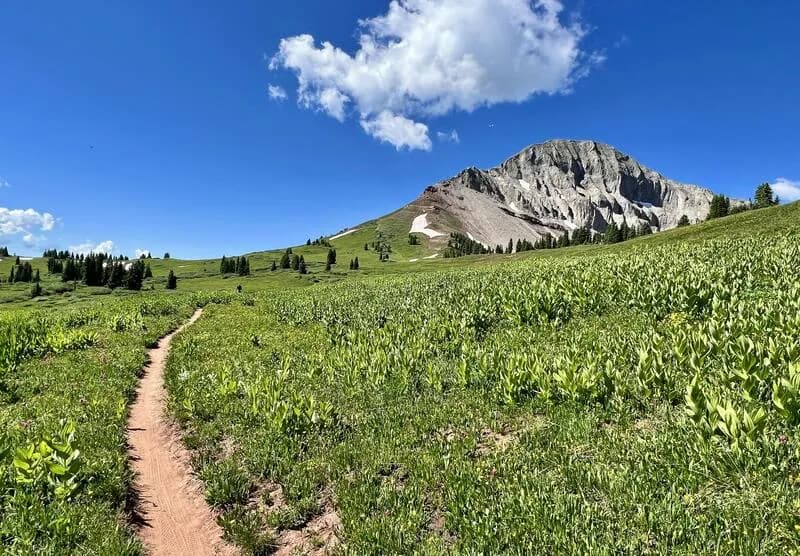 Coalbank Pass to Molas Pass