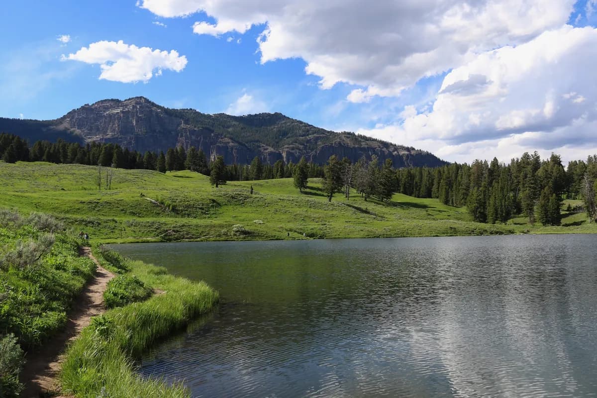 Trout Lake