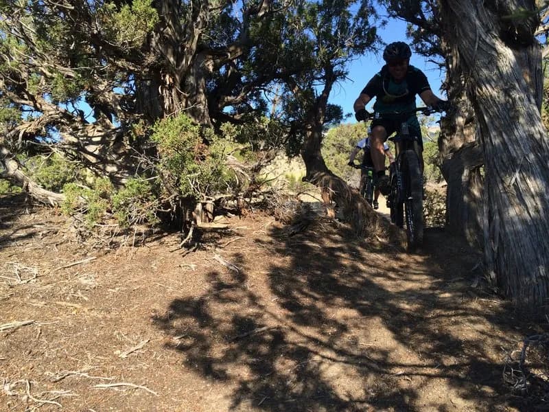 WTX Doubletrack