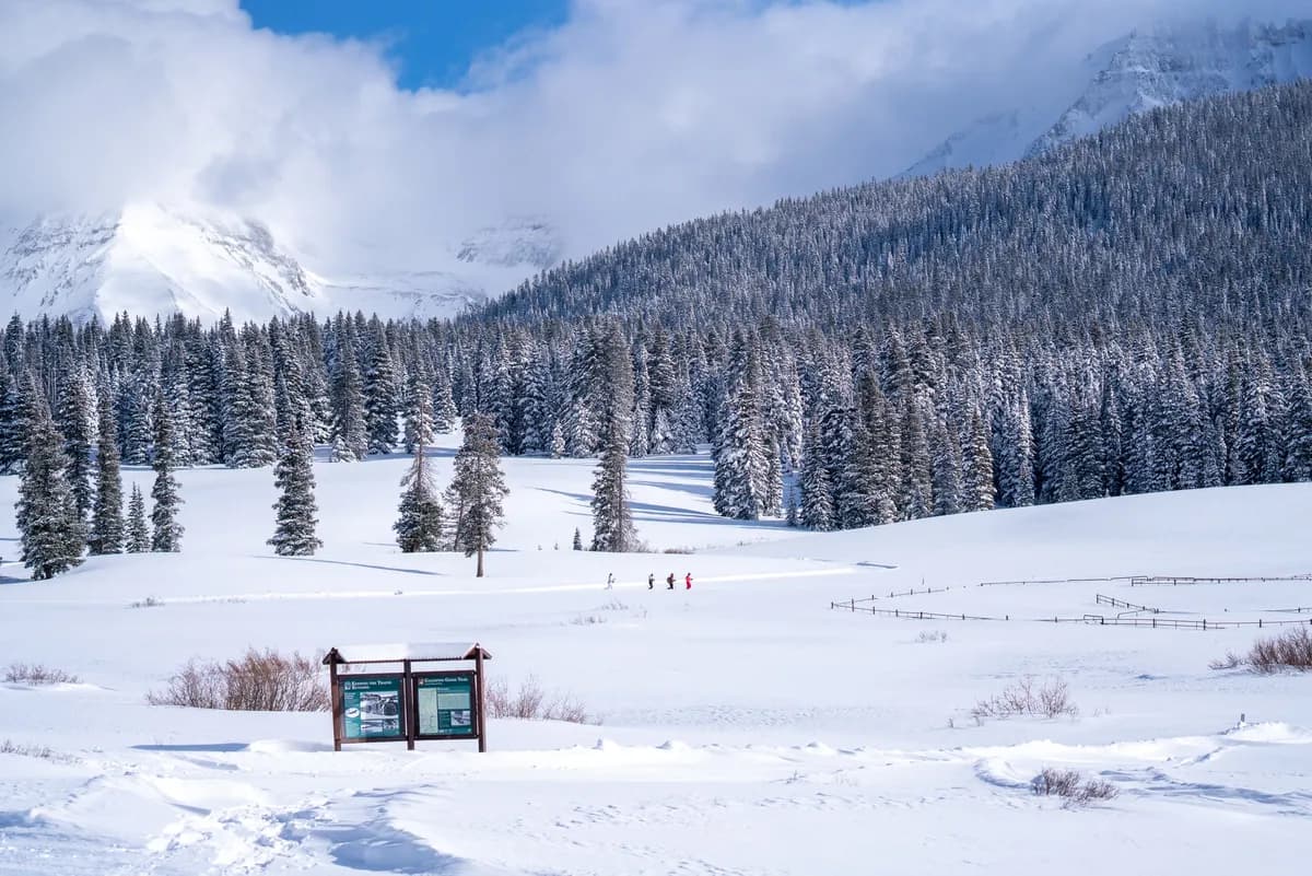 Telluride Nordic Center Snowboarding