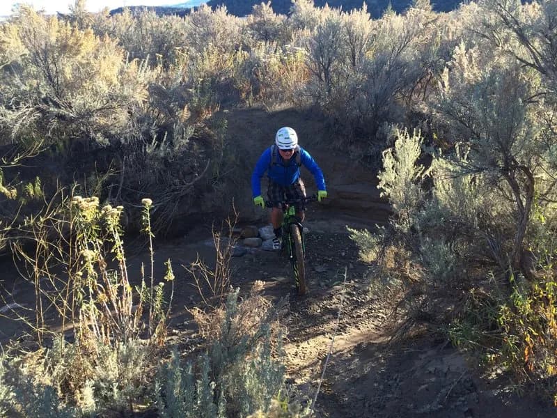 A's and W's Trail