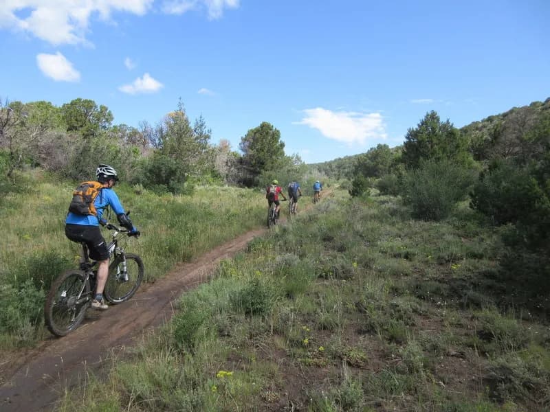 Spring Creek Trail