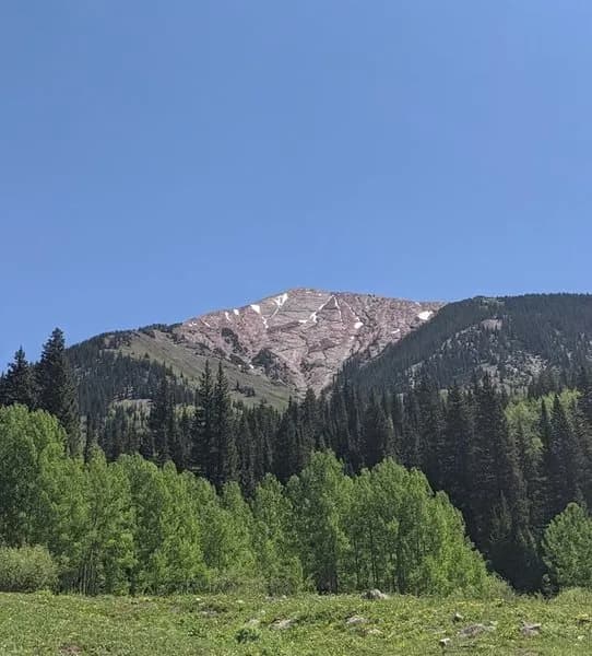 SW Face