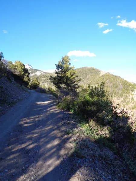 Mill Creek Rd