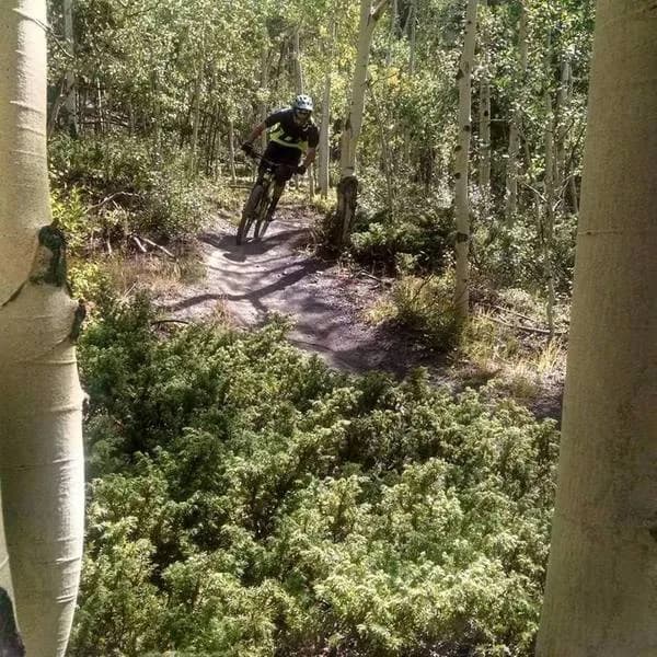 Aspen Alley