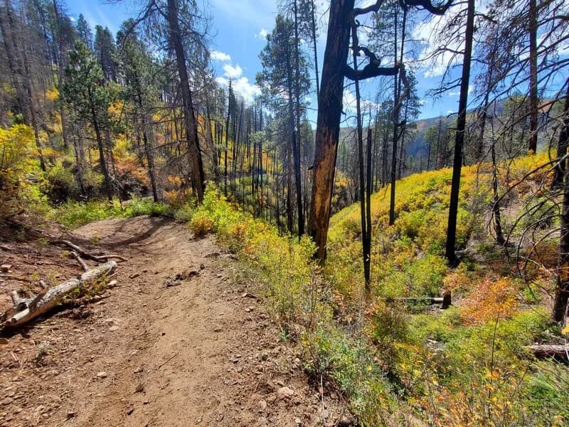 Hermosa, Clear, South Fork Creeks Loop