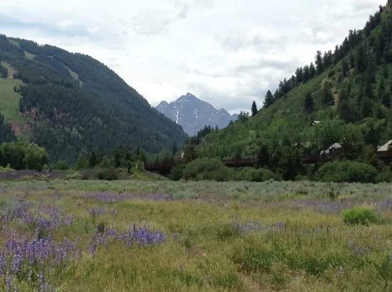 Moore Open Space trail
