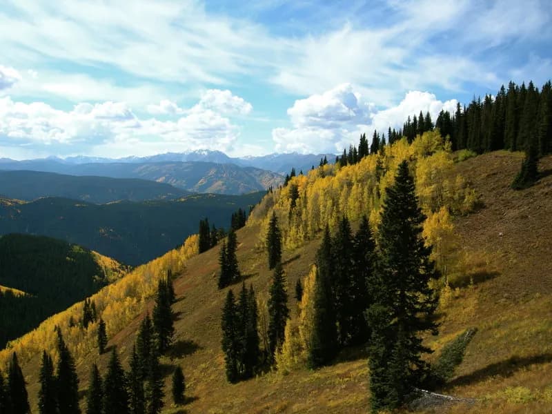 Kobey Park Rd. (FS Rd. 508)