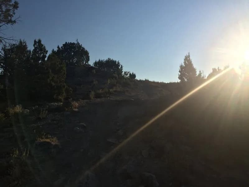 Paul's Trail