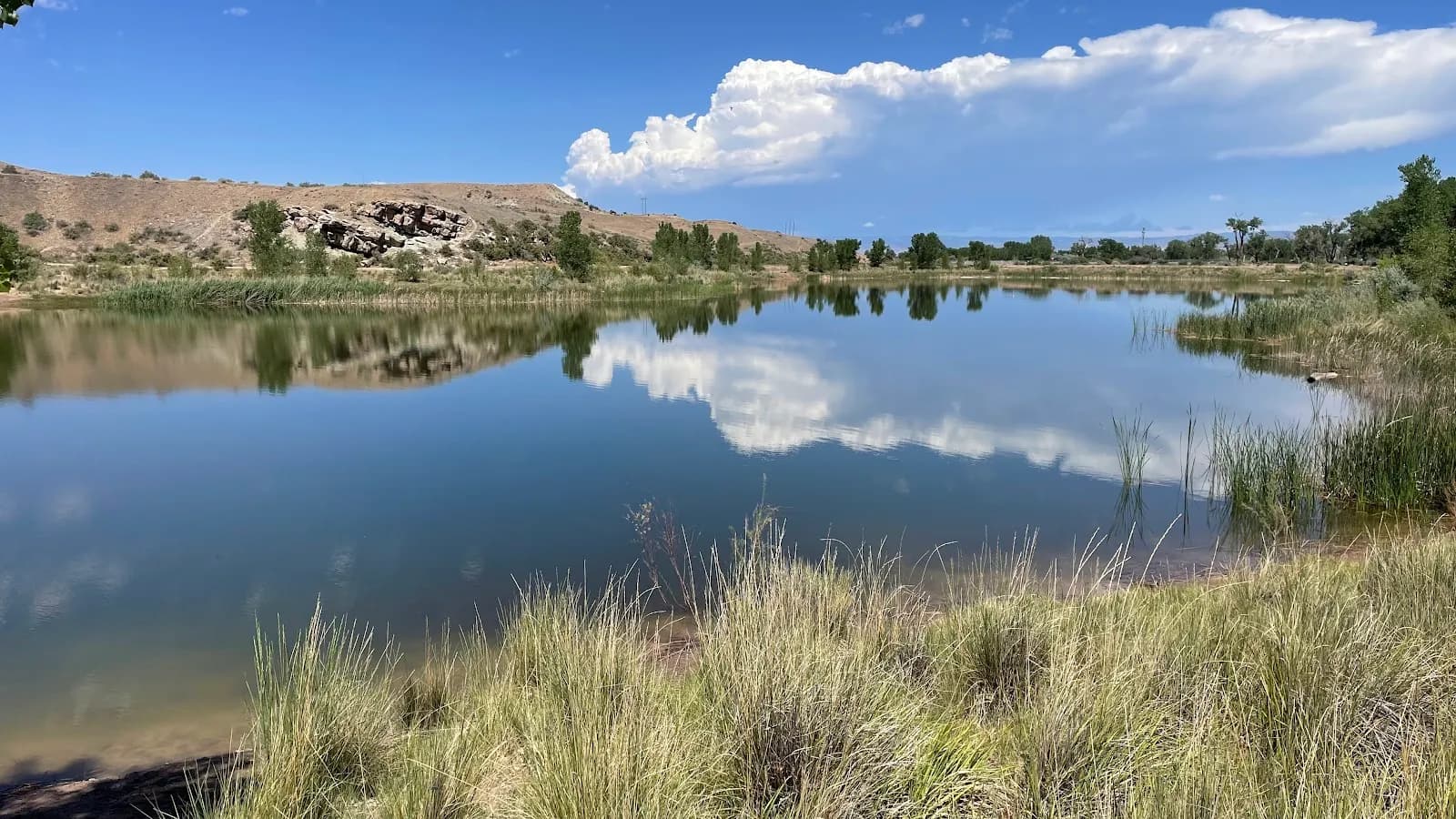 Snooks Bottom Open Space