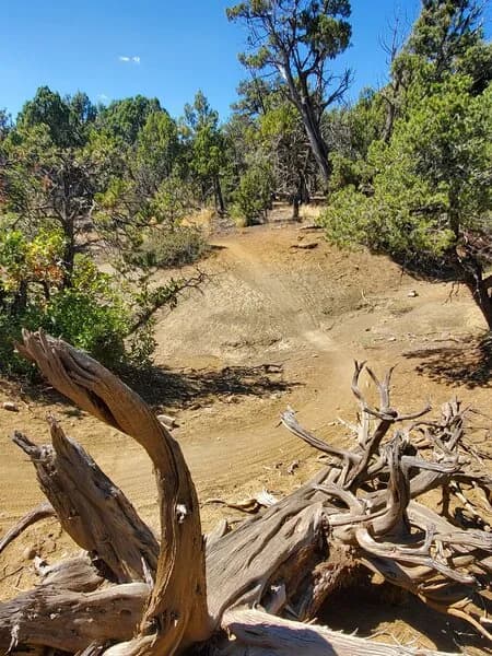 Trail Passes Through A Small Ravine On American Dream