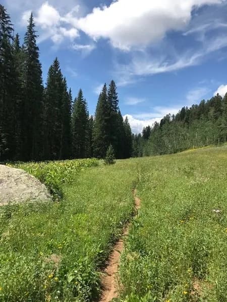 Hunter Creek (Overlook) trail
