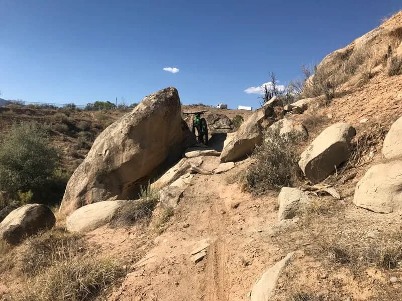 Bonsai Loop view 4