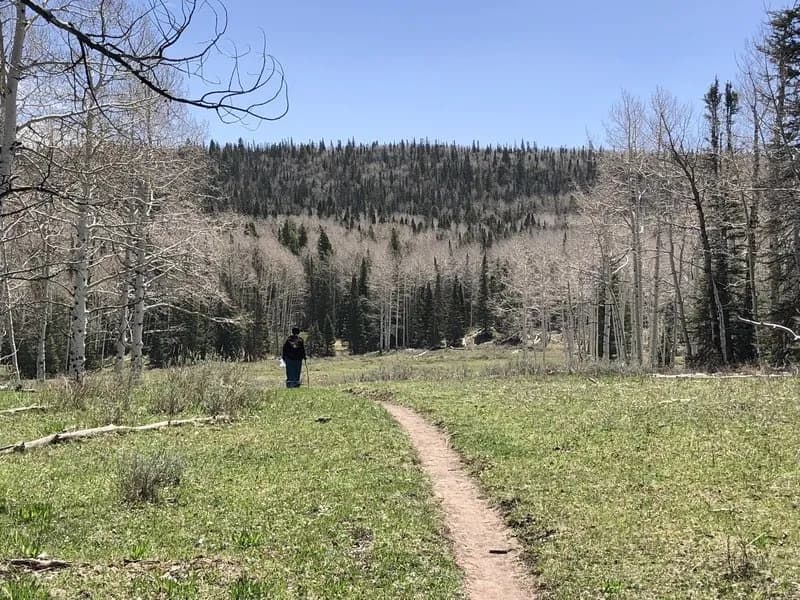 Haypress Trail #2662