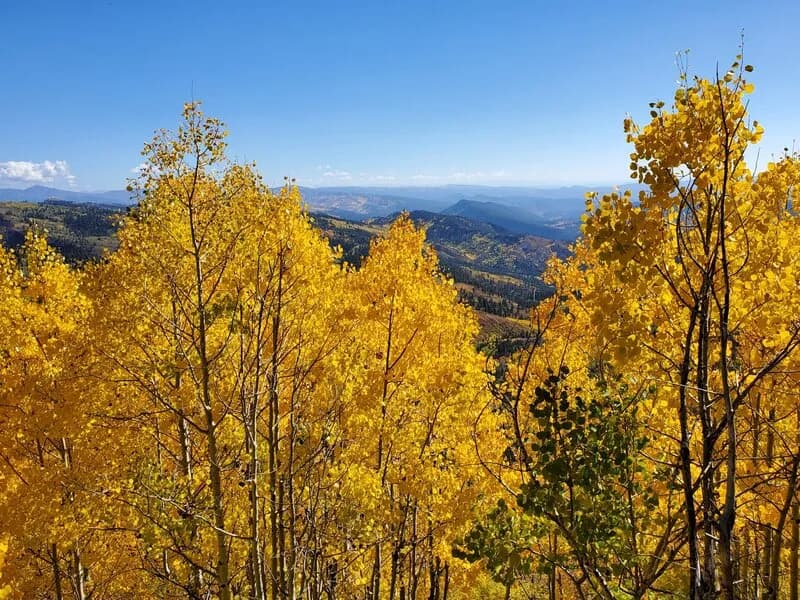 Missionary Ridge to Youngs Trail