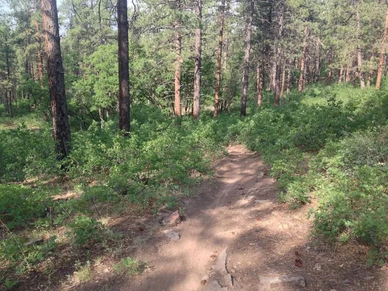 Dry Fork - Highpoint