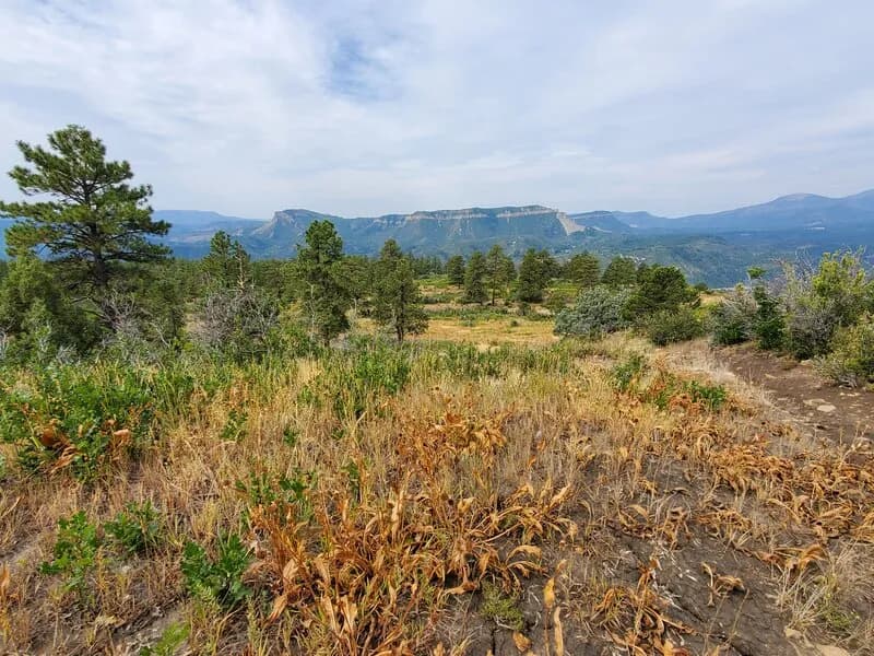 Views From Near The Top Of Animas Mountain