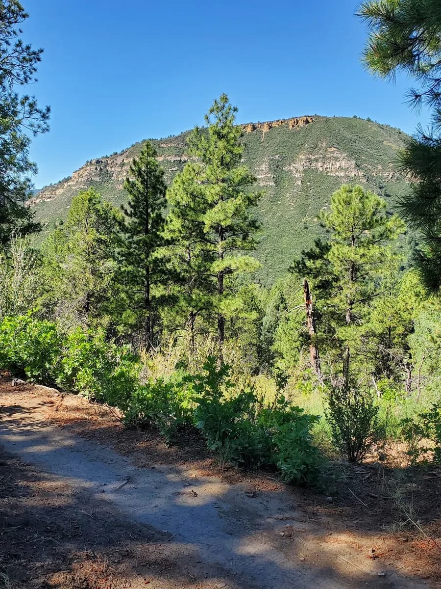 Looking West From The Twin Buttes Trail